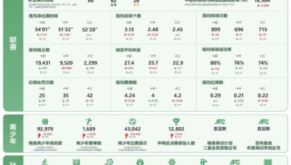 足协2024年年报：多项数据提升 职业球员共2740人