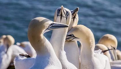 华体会hth：开启智慧体育娱乐的新纪元