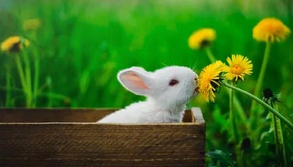 华体会网站——体验极致体育娱乐的新天地